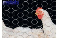 China 3ft By 30m Hexgonal Wire Mesh In Kenya Poultry Fencing Chicken Coop supplier