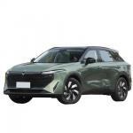 Dongfeng Qichen Big V 163 Fully Electric Cars Suv Vehicle Atv Car for sale