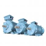 M2BAF Servo Motor Efficiency IE4 IE5 Motor IP55 ISO Certified for sale