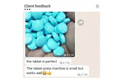 China Rotary Pill Press Tablet Press Machine Zp17 Automatic Lab Scale supplier