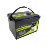 Ecolite 1280Wh RV Lithium Battery M8 Terminal Type 12.8V 100Ah LiFePO4 Battery for sale