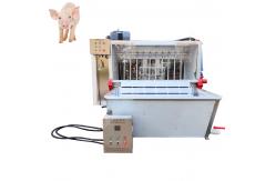 China Pig Slaughter Machine Pig Slaughter Line Pig Slaughter Pig Scalding And Dehairing Machine supplier