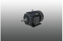China High Torque Permanent Magnet Motor Energy Saving Liquid Cooled supplier
