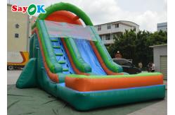 China Outdoor Inflatable Water Slides Commercial Inflatable Slide Anti Ruptured For Kids supplier