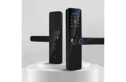 China Tempered Glass Tuya Door Lock With Fingerprint S811 Password Smart Lock supplier
