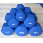 China Fixed Weight Hex Neoprene Coated Dumbbell manufacturer