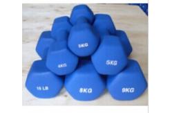 China Fixed Weight Hex Neoprene Coated Dumbbell supplier