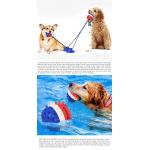 Double Suction Cup Squeaky Interactive Pet Toys Dog Teeth Cleaning Ball TPR ODM