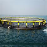 Custom Round Floating Aquaculture Cage Wind Corrosion Resistant Fish Net Cage Complete Accessories for Tilapia Large Scale Breeding for sale