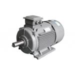 Brushless Three Phase Permanent Magnet Motor AC IE5 Direct Drive for sale