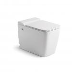 Modern Pulse Tankless Toilet Floor Mounted WC For Bathroom for sale