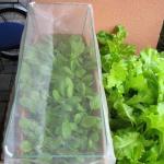 Plastic Garden Netting For Plant Vegetables And Fruits 