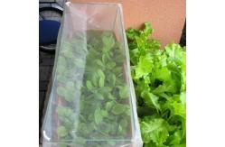 China Plastic Garden Netting For Plant Vegetables And Fruits  supplier