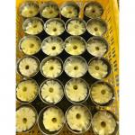 Canned Pineapple In Syrup / Fresh Pineapple / 40% Moisture for sale
