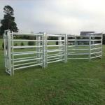 10' Height Adjustable Cattle Fence Panel Galvanized Cattle Loading Ramp With Sliding Gates