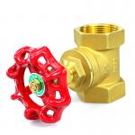 Durable Brass Globe Control Valve  Manual Gate Valve for sale
