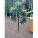Telecommunication Pine Palm Tree Steel Q345 Tubular Tower Mobile for sale