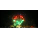 228 Shots 500G Pyrotechnics Consumer Cake Fireworks for Chinese New Year celebration for sale