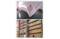 China 3/4 PE 1 PP Transportation Molasses Flexitank Flexibag supplier