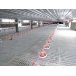 Ss304 Poultry Automatic Drinkers Automatic Chicken Watering System