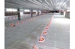 China Ss304 Poultry Automatic Drinkers Automatic Chicken Watering System supplier