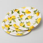 Eco Friendly Biodegradable Paper Plates Compostable Lemon Birthday Party Supplies for sale