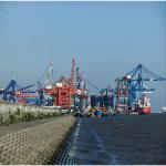 24h Response International Shipping Via Sea Logistics Service From China To Malaysia for sale