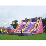 Giant Inflatable Slide For Kids School Amusement Games for sale