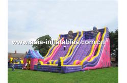 China Giant Inflatable Slide For Kids School Amusement Games supplier