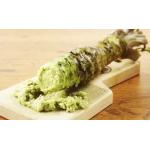 Take Out 3G/Bag Horseradish Sauce Mustard Sachet for sale