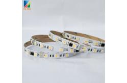 China DMX512 RGBW Flexible LED Strip DC12V With RF WIFI APP Control supplier