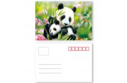 China Custom 3d Lenticular Postcards Printing Basketball Players Image supplier