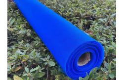 China Customized Fiberglass Window Screen Mesh Blue Green Door Insect Screen supplier