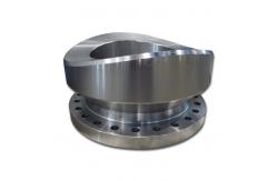 China Forged Nozzle Flange For Boiler And Heat Exchanger Application supplier