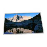 B133XW02 V2 LCD Display Screen LAPTOP 13.3 inch 1366*768 for sale