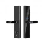 Black Biometric Fingerprint Door Locks Tuya TTlock Electronic Digital Door Locks for sale