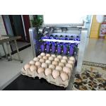 Safety Egg Inkjet Marking Machine With Free Upgrade And Technical Guidance for sale