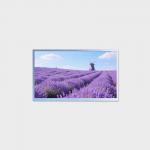 17.3 Inch High Brightness LCD Panel 1920*1080 LVDS 800nits LCMA-RX0173GA01-C080 for sale