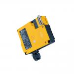 Dual Monitoring Safety Door Switch with 1300N Tensile Strength and ISO14119 Compliance for Industrial Safety for sale