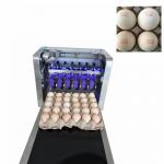 Mobile Edible Food Printer / Egg Jet Printer With Customize Printing Length for sale