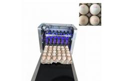 China Mobile Edible Food Printer / Egg Jet Printer With Customize Printing Length supplier