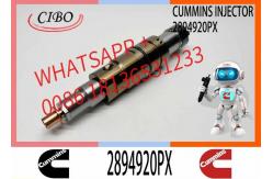 China FUEL INJECTORS 2894920 2894920PX 2894920 2897320 1948565 1933613 2029622	2030519 supplier