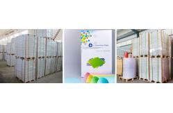 China 100% Virgin Wood Pulp Focus Carbonless Paper For Bills supplier