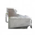 220V Bubble Tomato Washing Machine For Vegetable Fruit Processing