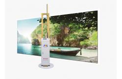 China OEM ODM Automatic Wall Inkjet Printer 2.0m Height Mural Printing supplier
