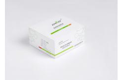 China 15min Glycosylated Hemoglobin Test Kit 3％-14％ HbA1c Rapid Quantitative Test supplier