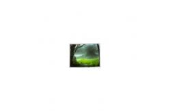 China G270ZAN02.0 27.0 inch eDP LCD Panel Display 4K LCD Screen supplier