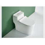 One Piece Dual Flush Sanitary Ware Toilet Floor Mounted 3D Design