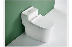 China One Piece Dual Flush Sanitary Ware Toilet Floor Mounted 3D Design supplier