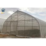 Oval Tube Film Multi Span Greenhouse Arched Commercial Greenhouse Frame for sale